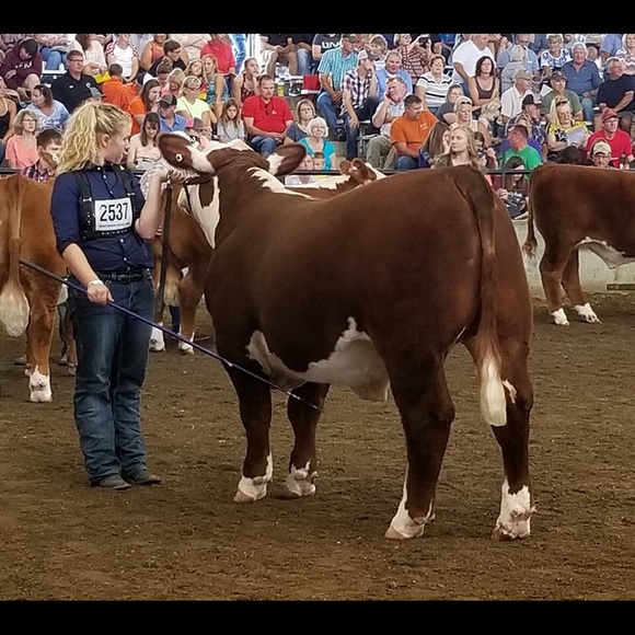 Meet your Posher, Ssydney - Picture 1 of 1